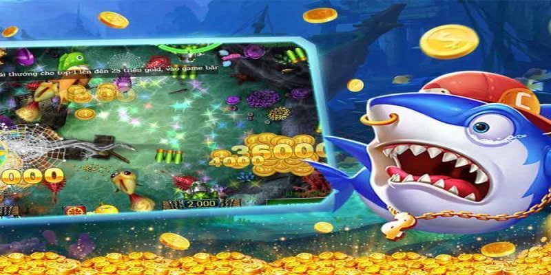 Các cấp độ chơi bắn cá h5