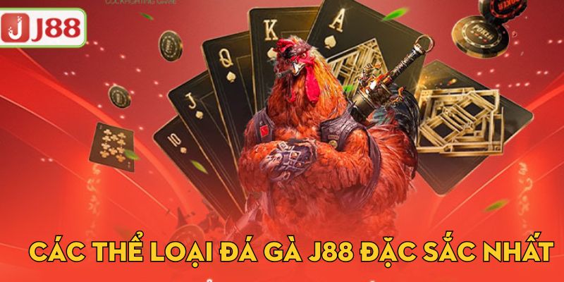 Các thể loại đá gà j88 đặc sắc nhất