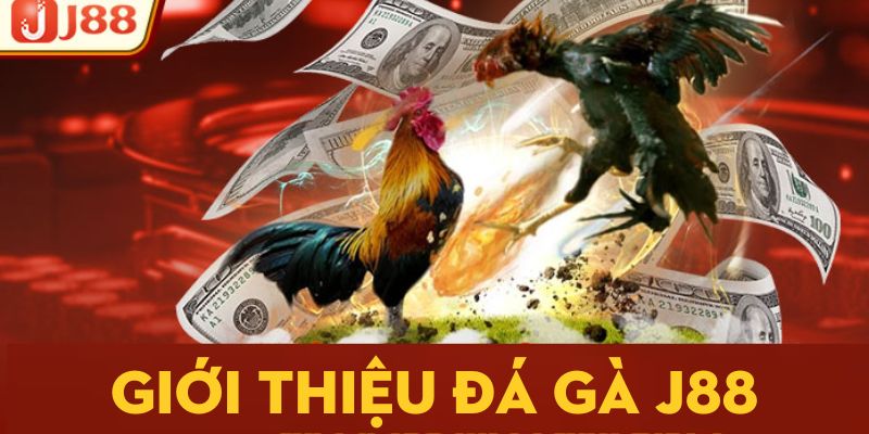 Giới thiệu đá gà j88