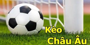 Trải Nghiệm Cá Cược Kèo Châu Âu Hấp Dẫn 2025